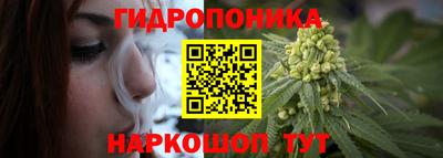 шишки Малоярославец