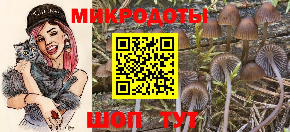 Советск  Псилоцибиновые грибы Cubensis  Вход с VPN  Псилоцибиновые грибы Magic Shrooms 
